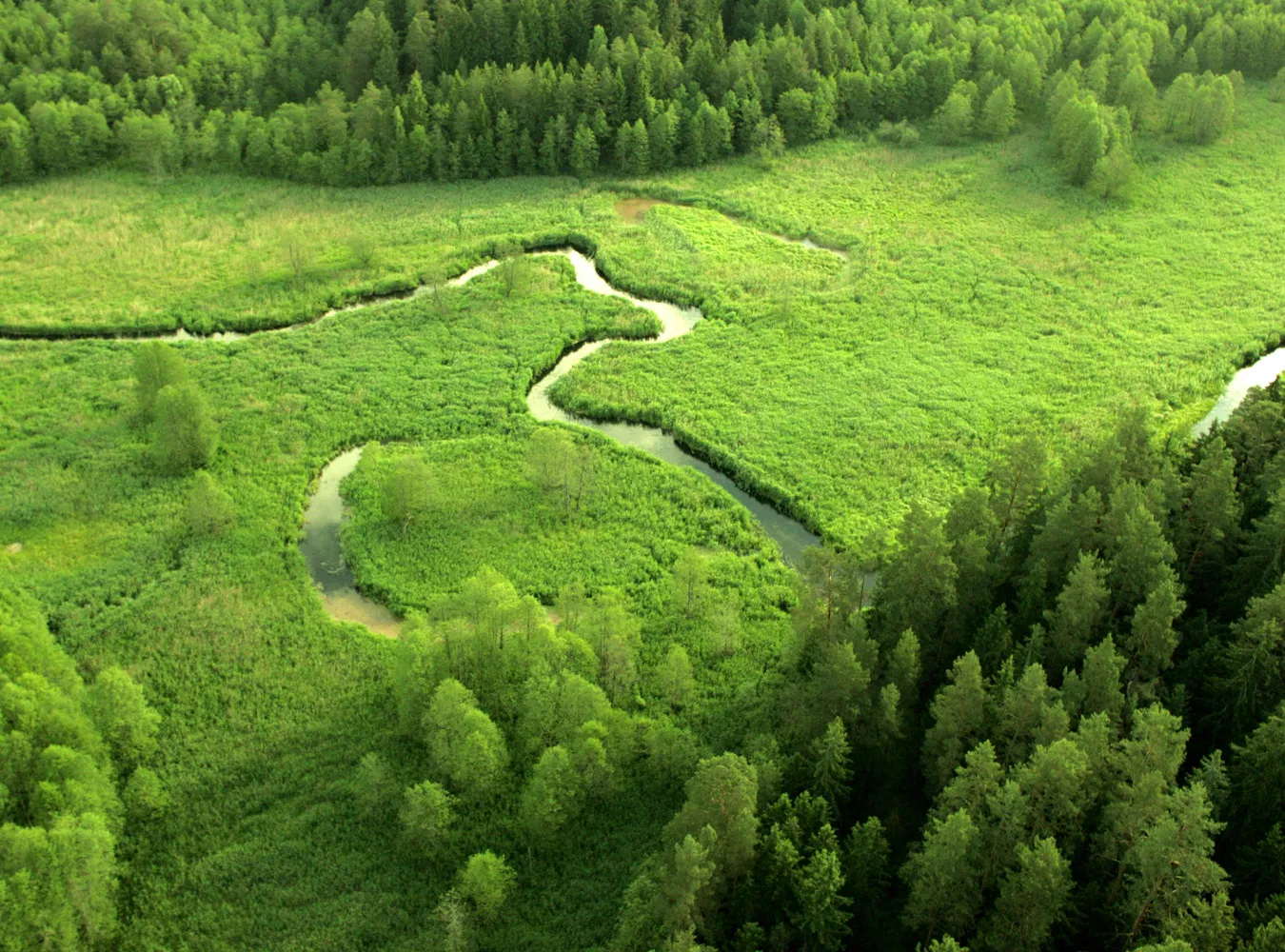 Obwodnica ominie Dolinę Rospudy