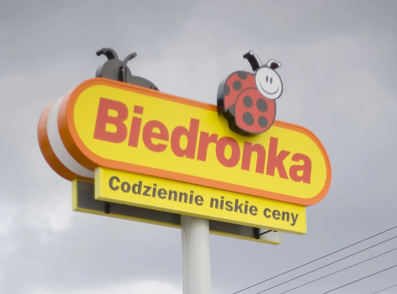 Bilet na samolot kupisz... w Biedronce