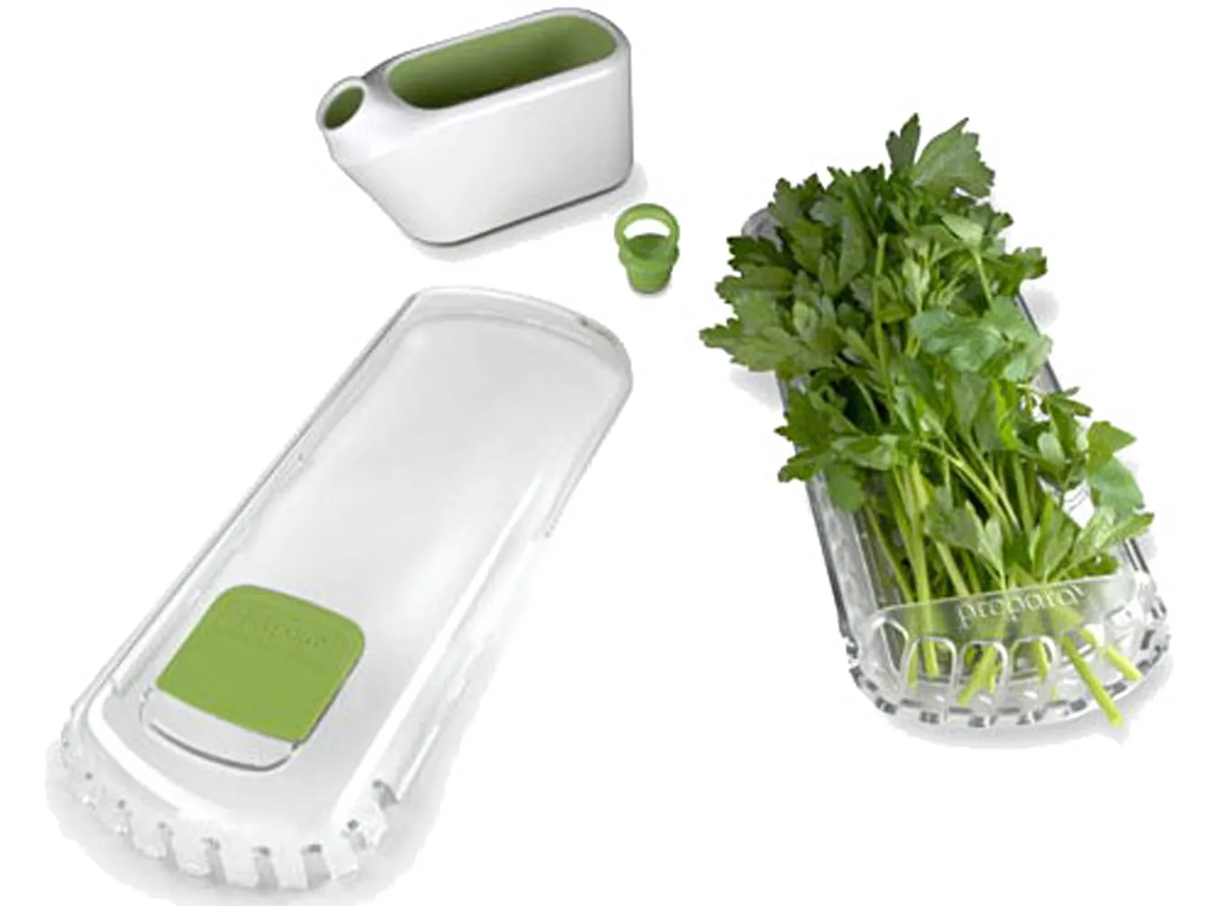 Jak przechować zioło w lodówce?