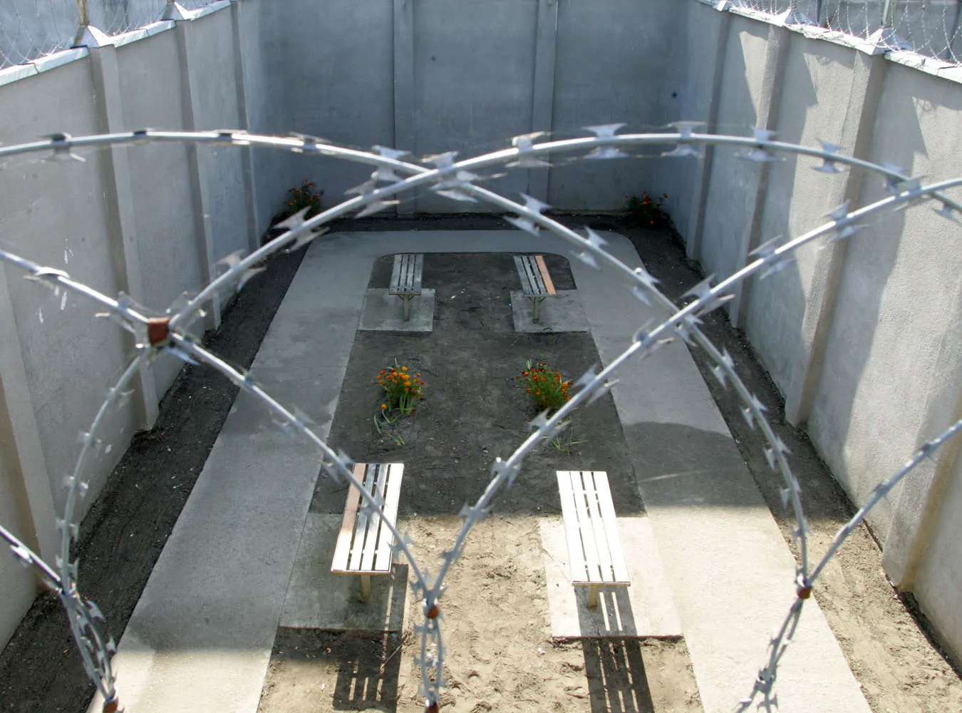 Tysiące więźniów wyjdą do domów