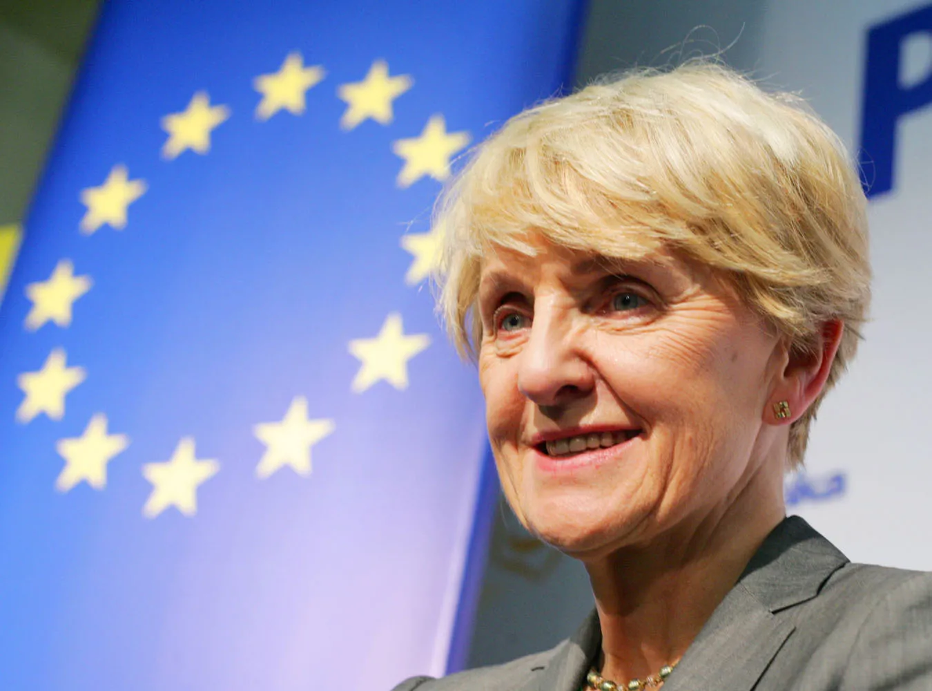 Zobacz majątek polskich europosłów