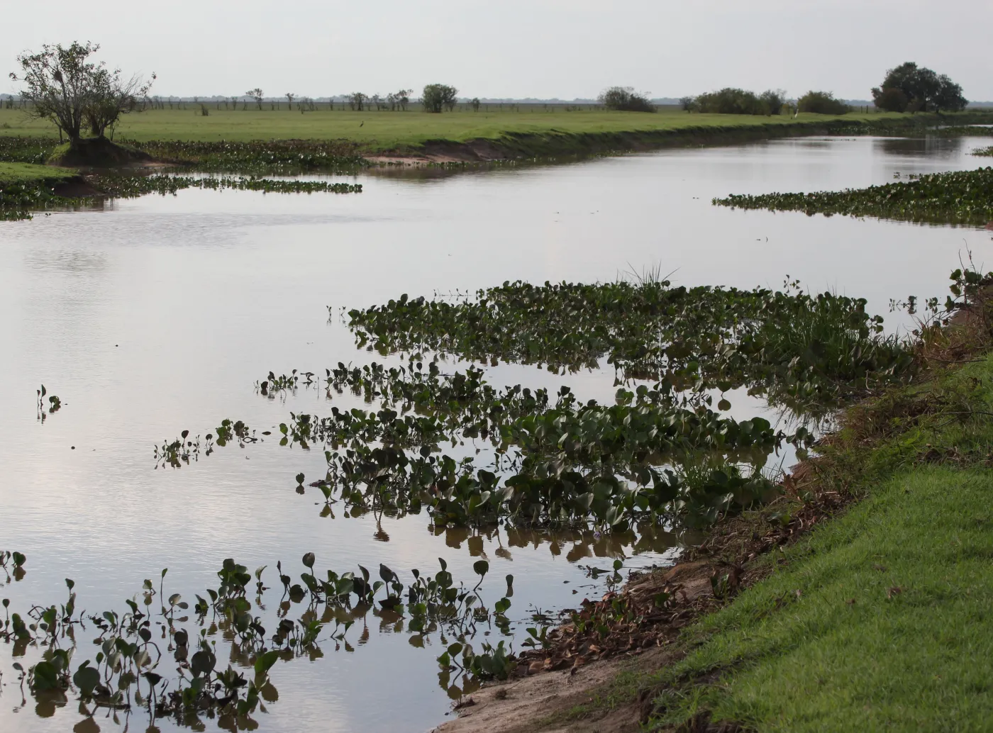 Notatki z podróży. Los Llanos - początek