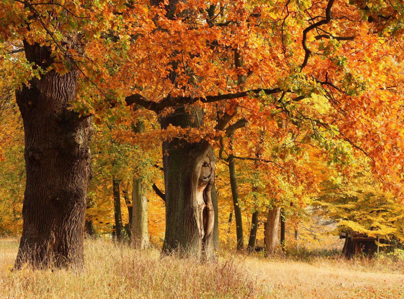 To już naprawdę koniec lata! Od piątku znowu jesień