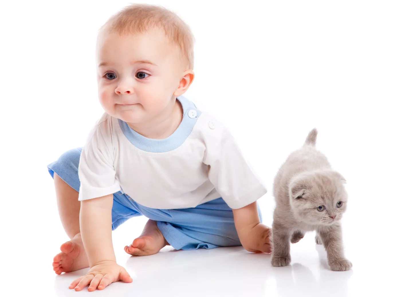 dziecko niemowlę kot