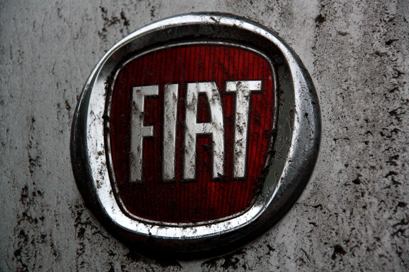 Ruszamy w teren! Fiat Scudo Panorama. Morderczy test dziennik.pl