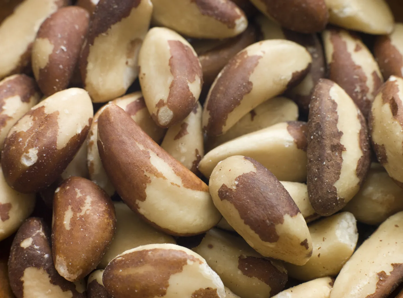 orzechy brazylijskie