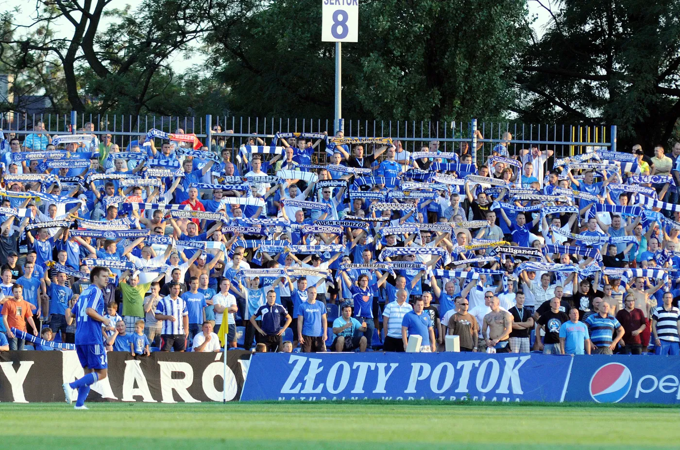 Kibice Ruchu Chorzów