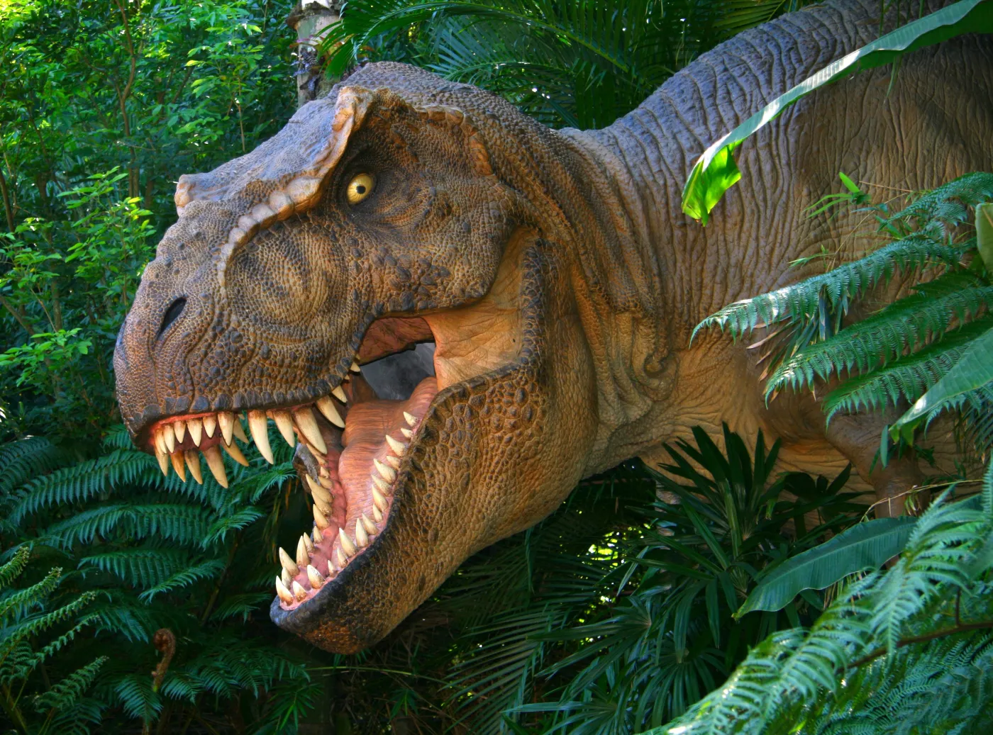 Przełomowe odkrycie w Argentynie: kości dinozaura i jego jaja