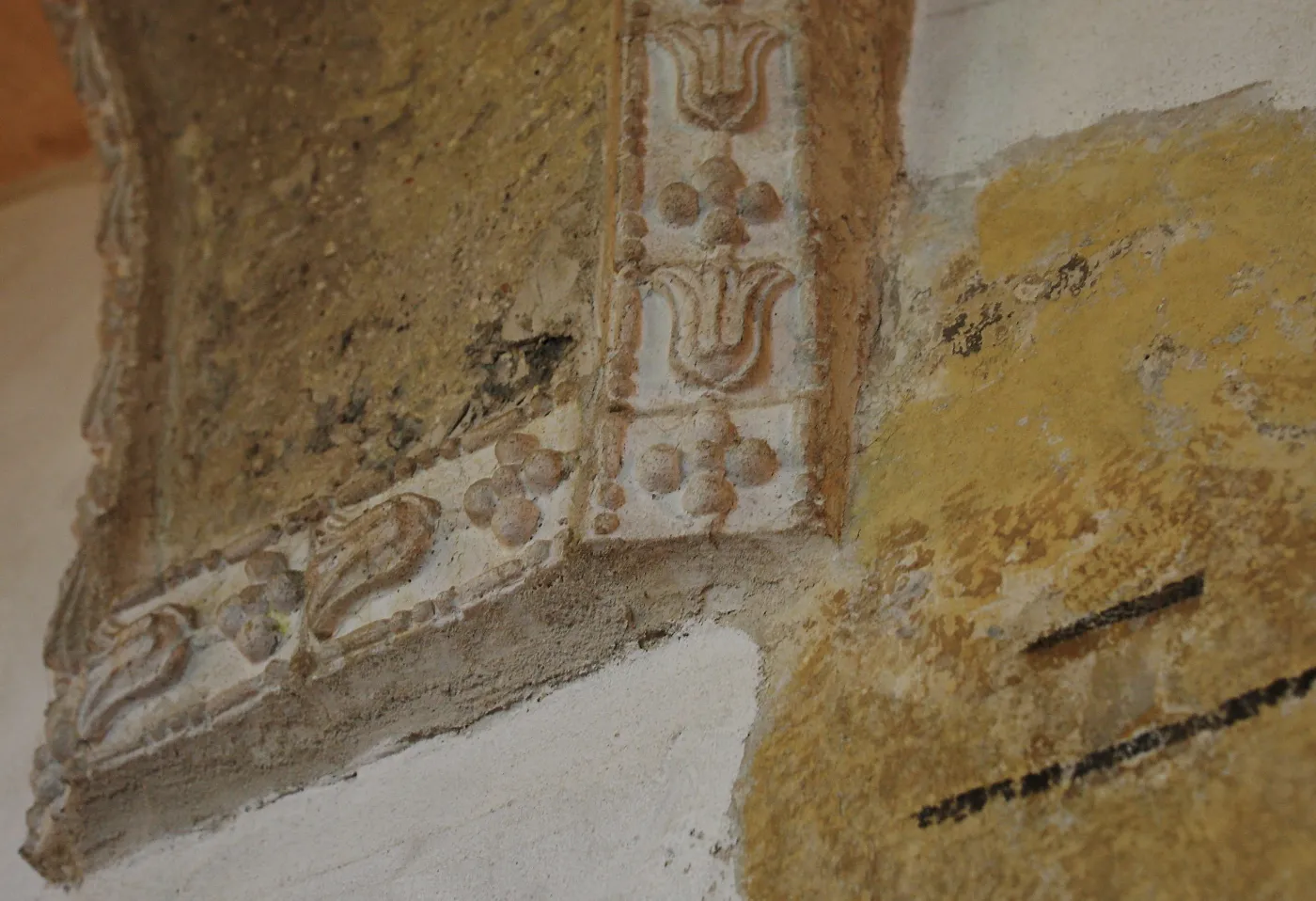 5575532-dom-janusza-palikota.jpg