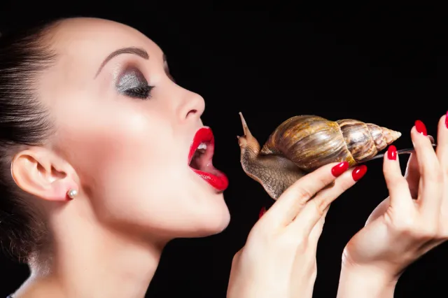 Trochę obrzydliwe, ale skuteczne: kosmetyczne hity od ślimaków, owadów i ptaków