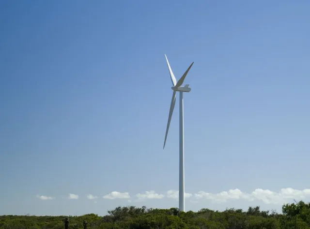 Konflikt interesów, korupcja... NIK krytycznie o elektrowniach wiatrowych