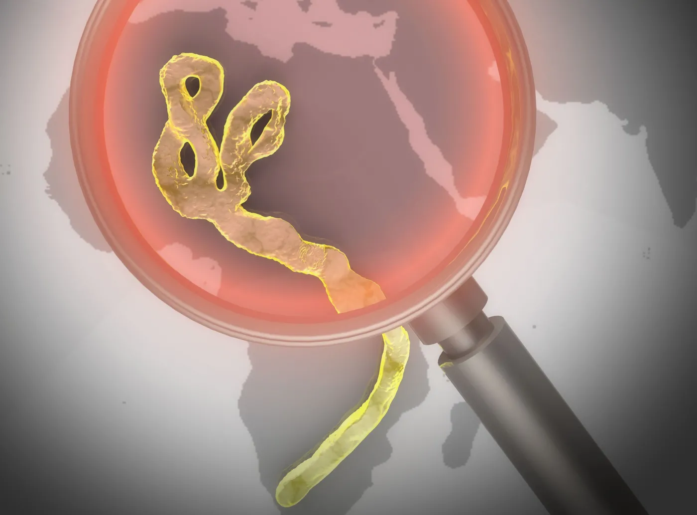 Wirus Ebola w Afryce