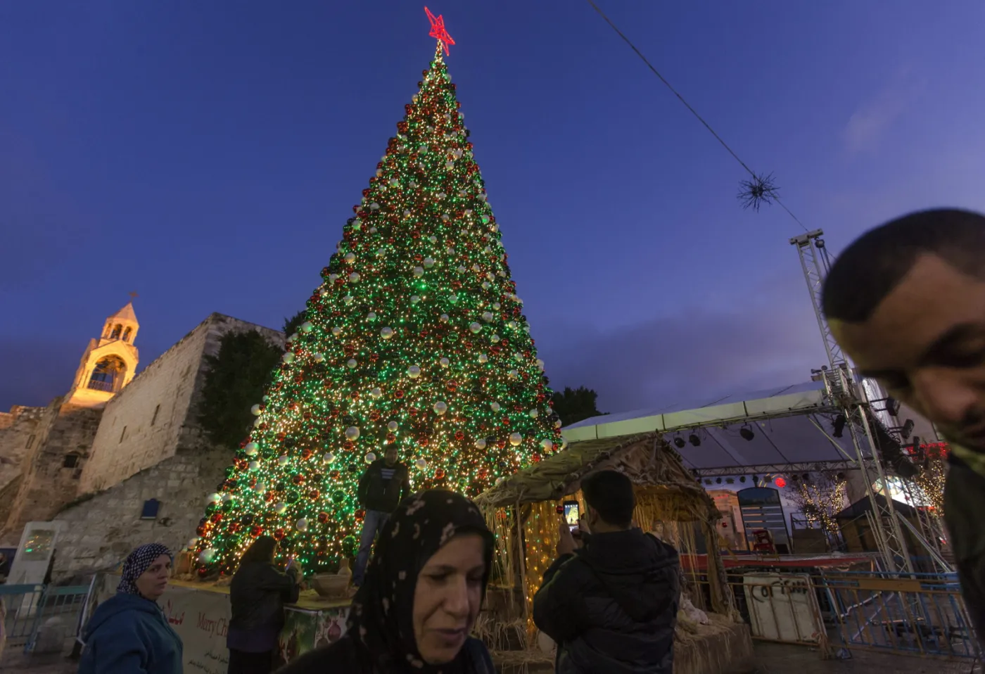 7206297-choinka-w-betlejem.jpg