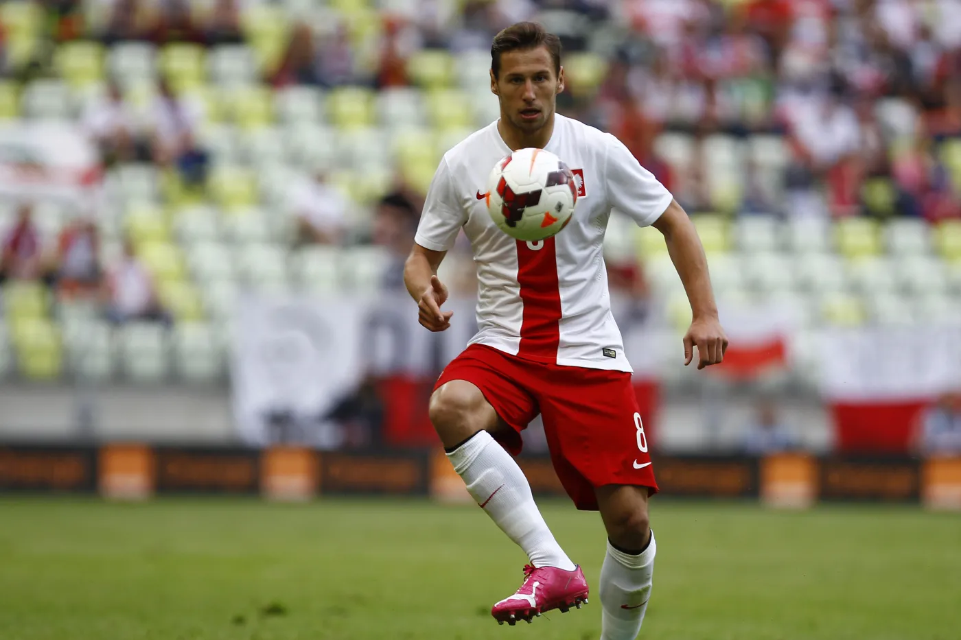 Grzegorz Krychowiak