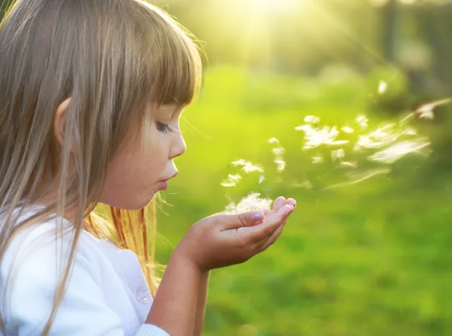 Alergolog: Tegoroczny sezon alergiczny odbiega od normy... Jest łagodniejszy