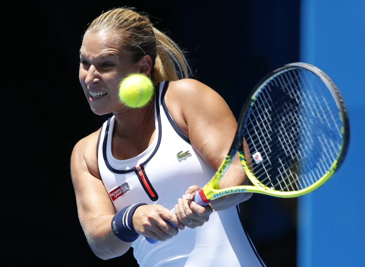 7353938-dominika-cibulkova.jpg