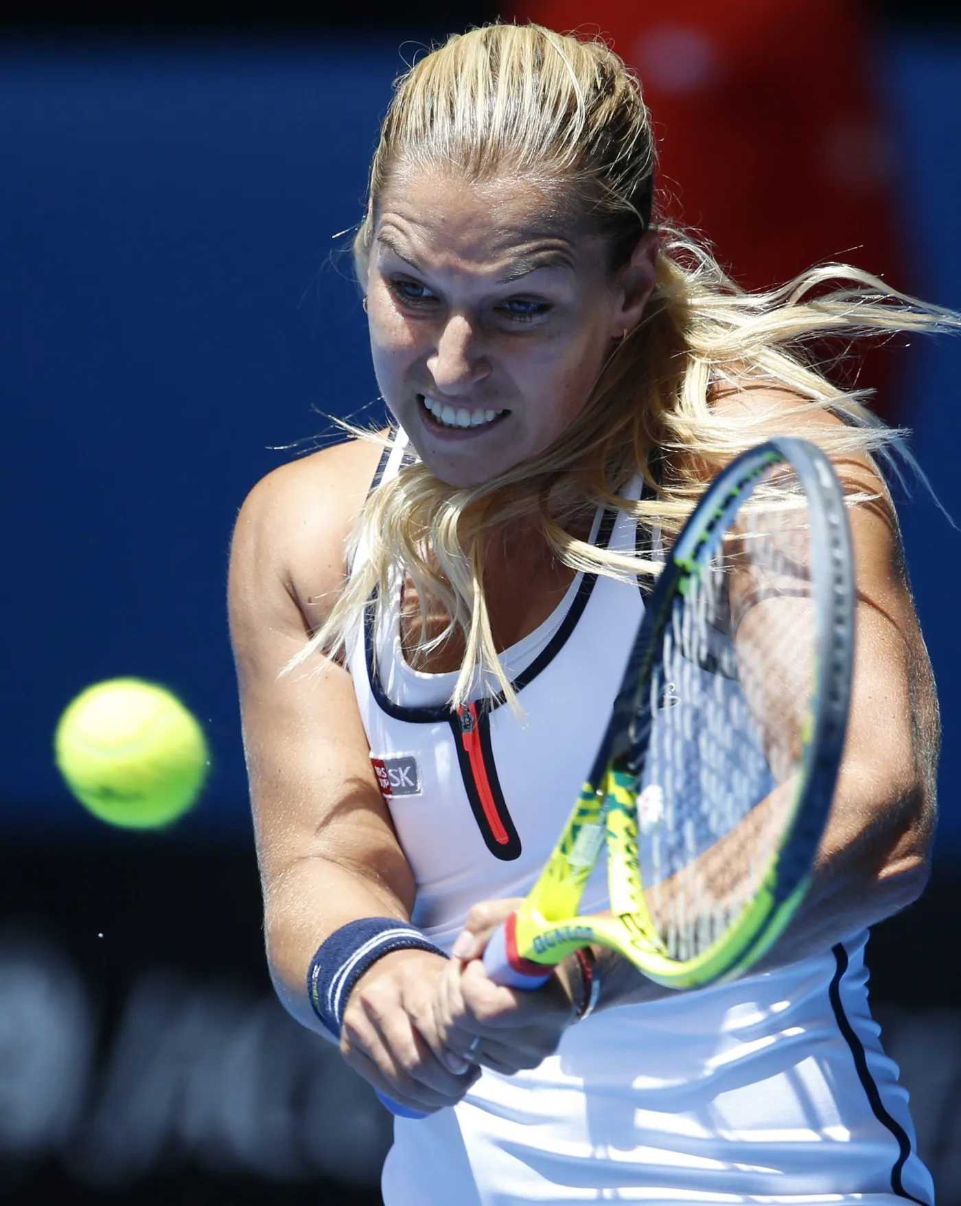 7353996-dominika-cibulkova.jpg