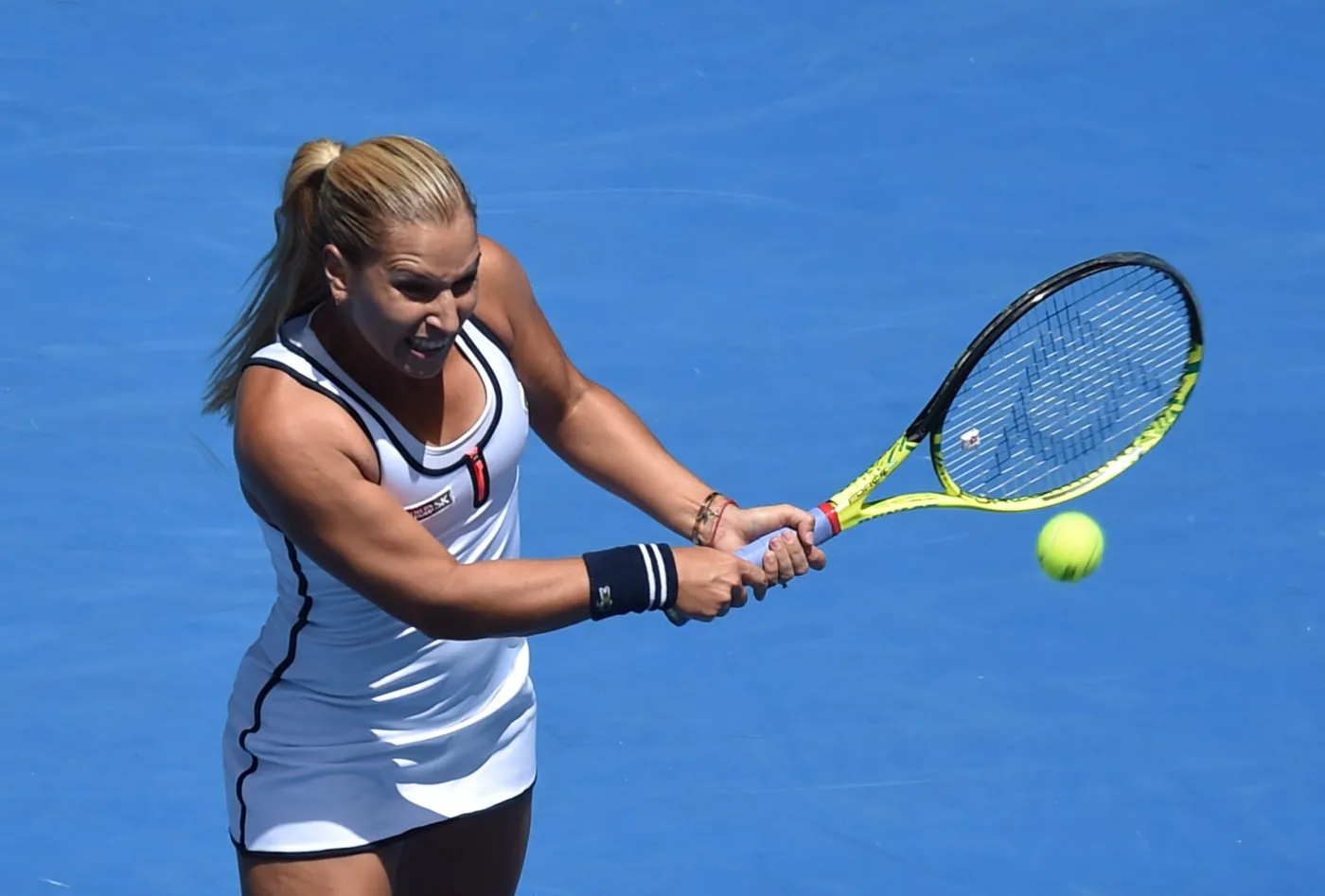 7354112-dominika-cibulkova.jpg