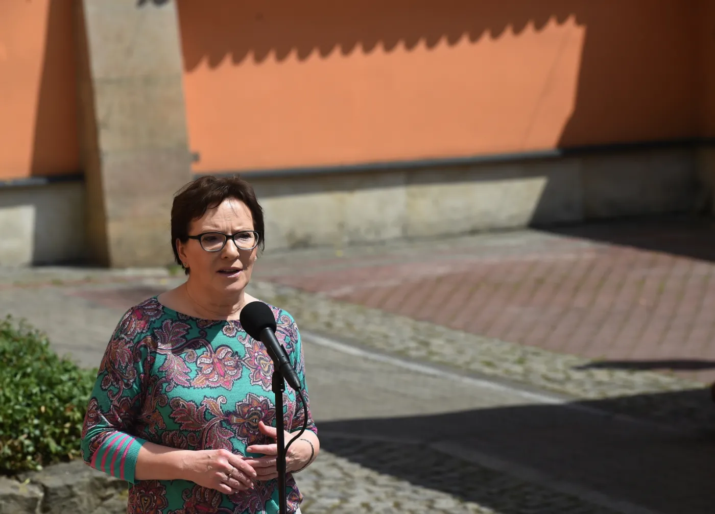 Premier Ewa Kopacz