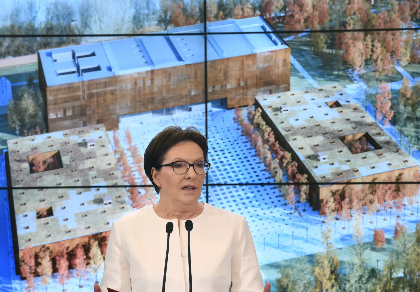 Premier Ewa Kopacz