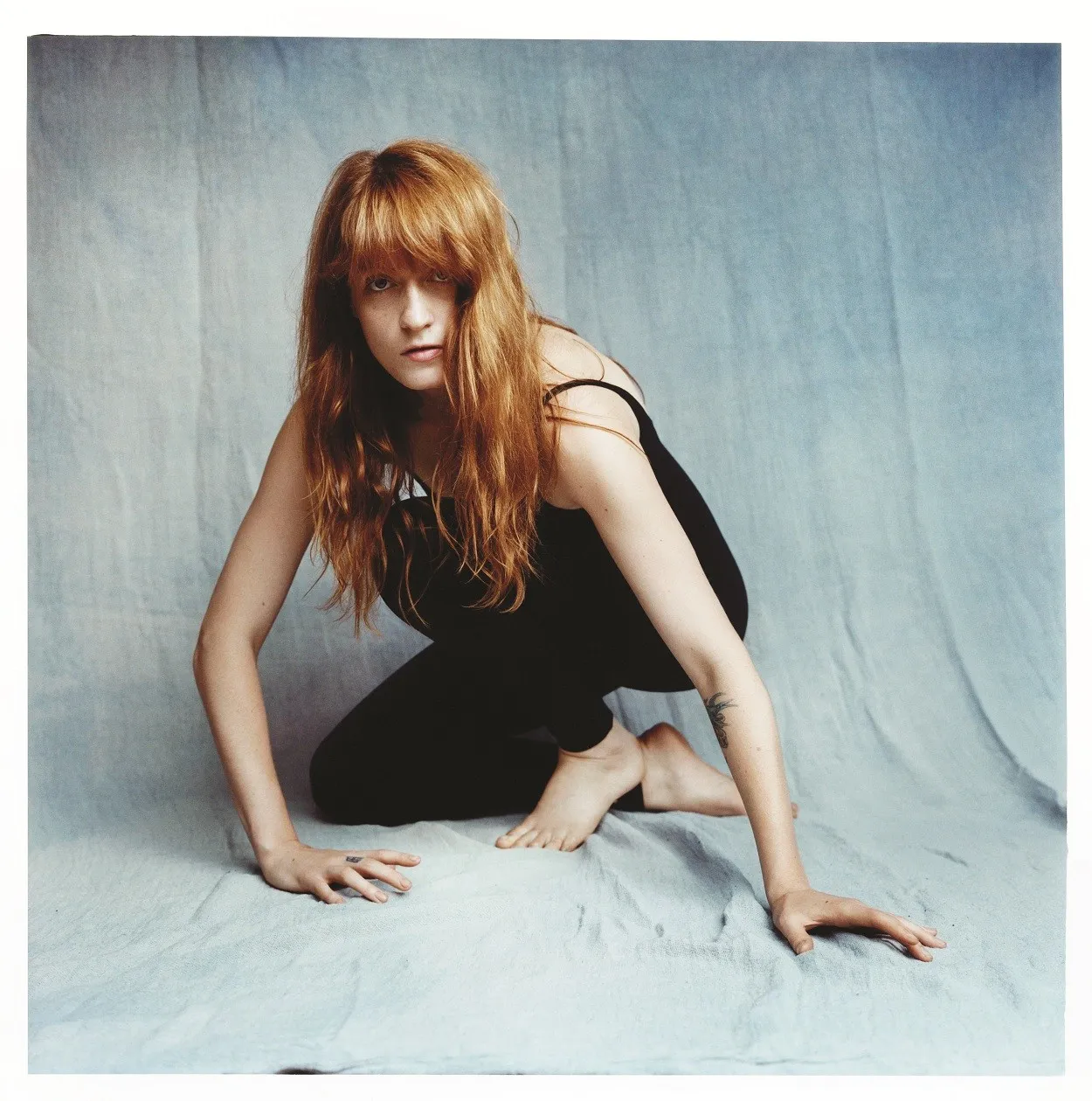 7821426-florence-the-machine.jpg