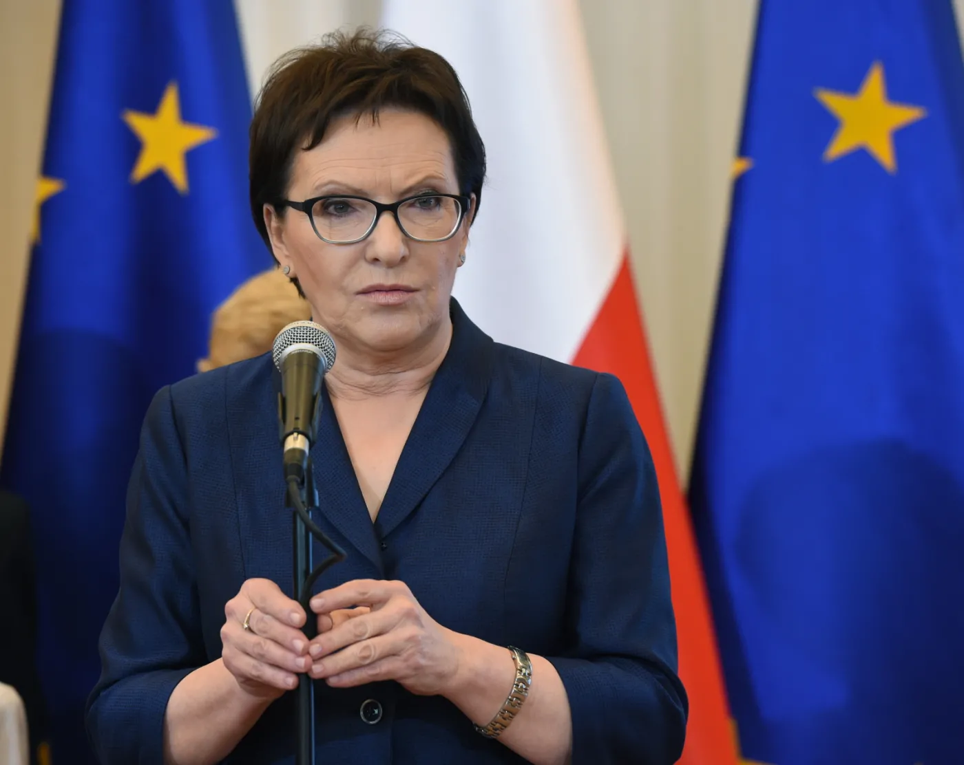 Premier Ewa Kopacz 