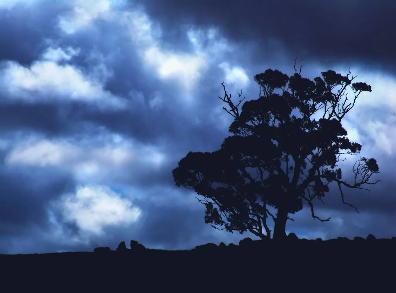IMGW ostrzega przed silnym wiatrem. PROGNOZA POGODY