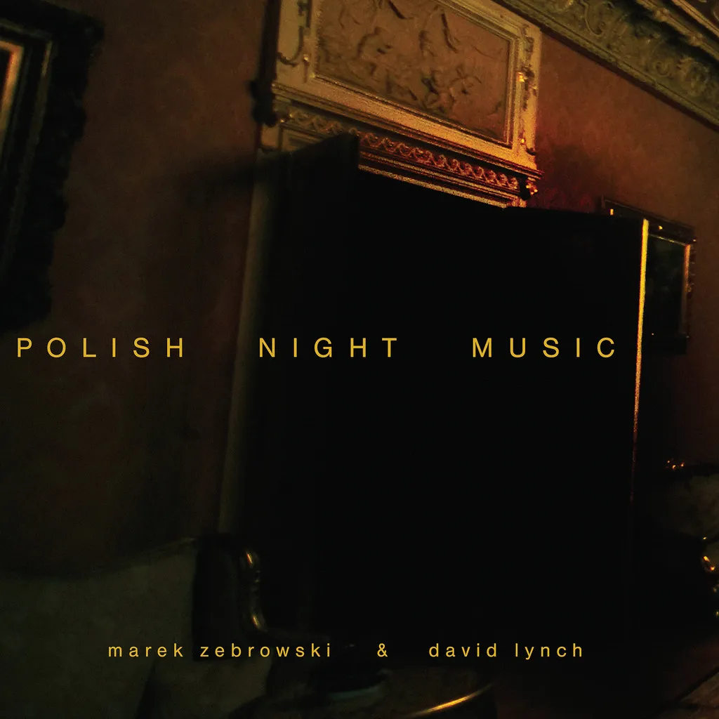 8502775-polish-night-music.jpg