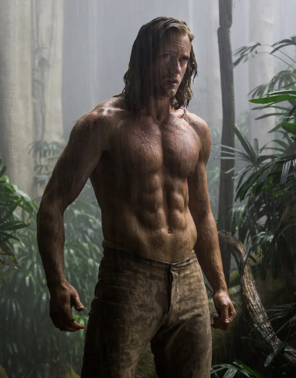8527131-the-legend-of-tarzan.jpg