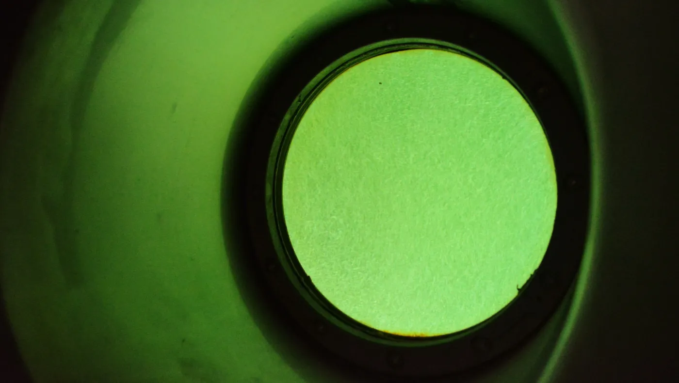 Małże w akwarium, ogród na dachu i plan zdjęciowy "Czterdziestolatka". Filtry Warszawskie za zamkniętymi drzwiami. ZDJĘCIA