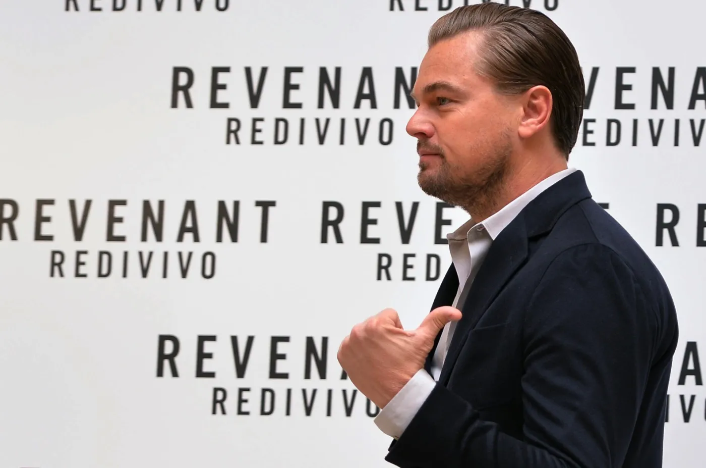 8644354-leonardo-di-caprio.jpg
