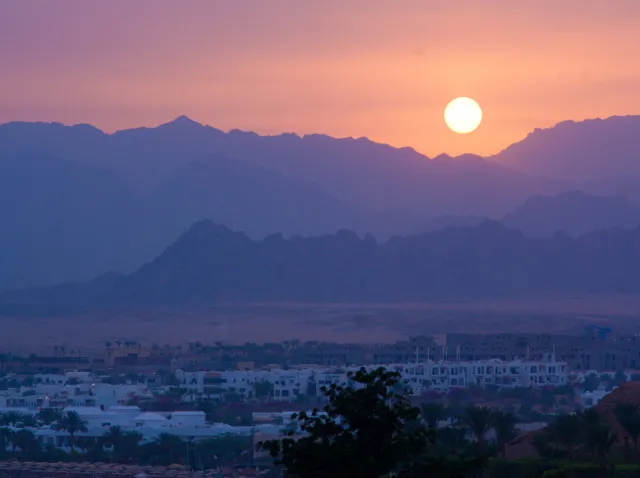 Rosyjskie służby: Katastrofa lotnicza na Synaju to był zamach