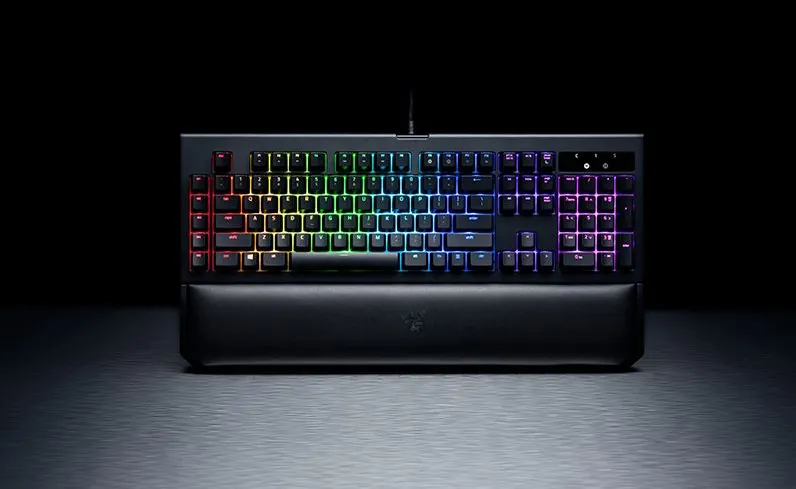 9987610-razer-blackwidow-v2.jpg