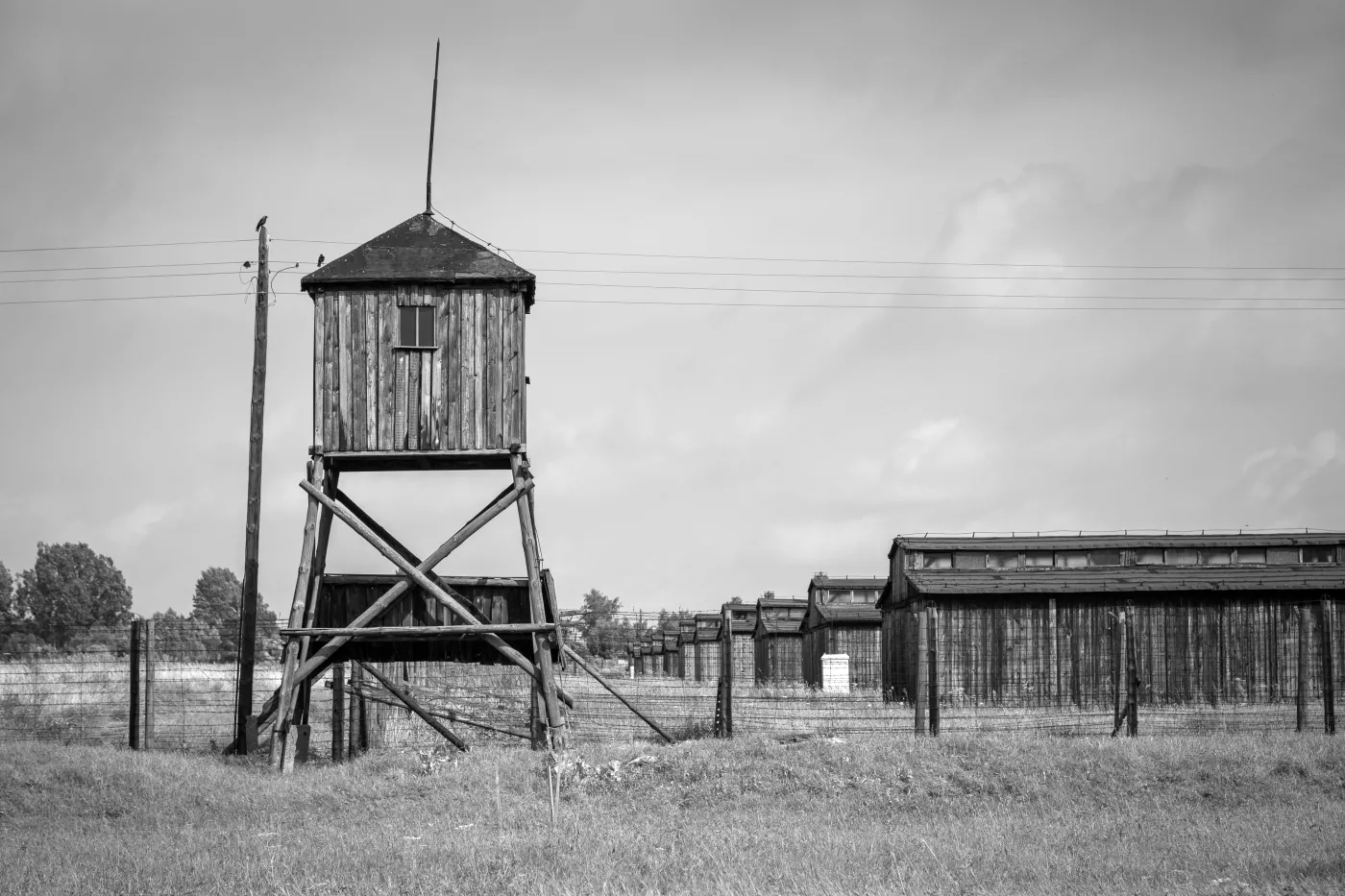 Niemiecka telewizja SWR przeprasza za sformułowanie "polskie obozy zagłady"