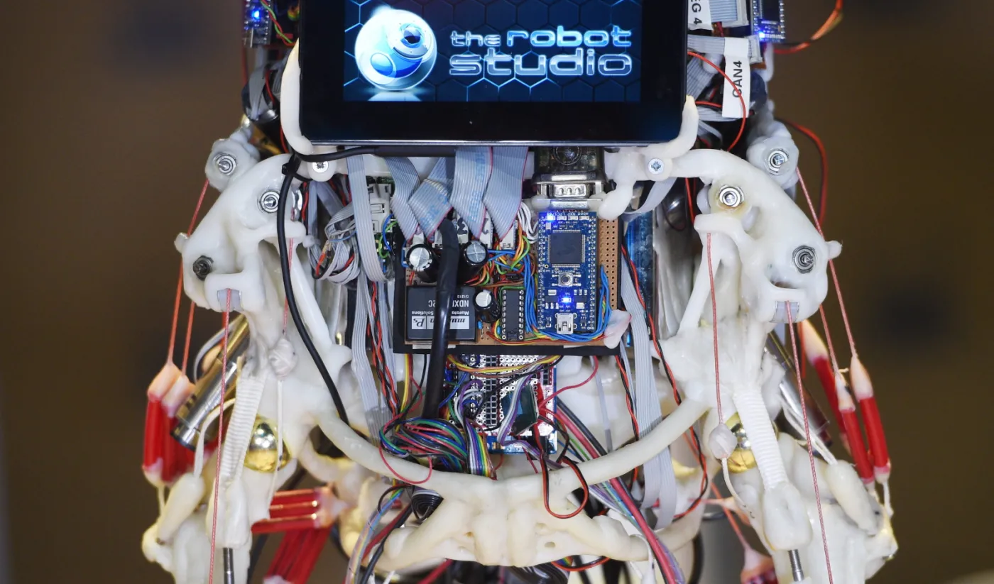9860804-roboty-przyszlosci.jpg