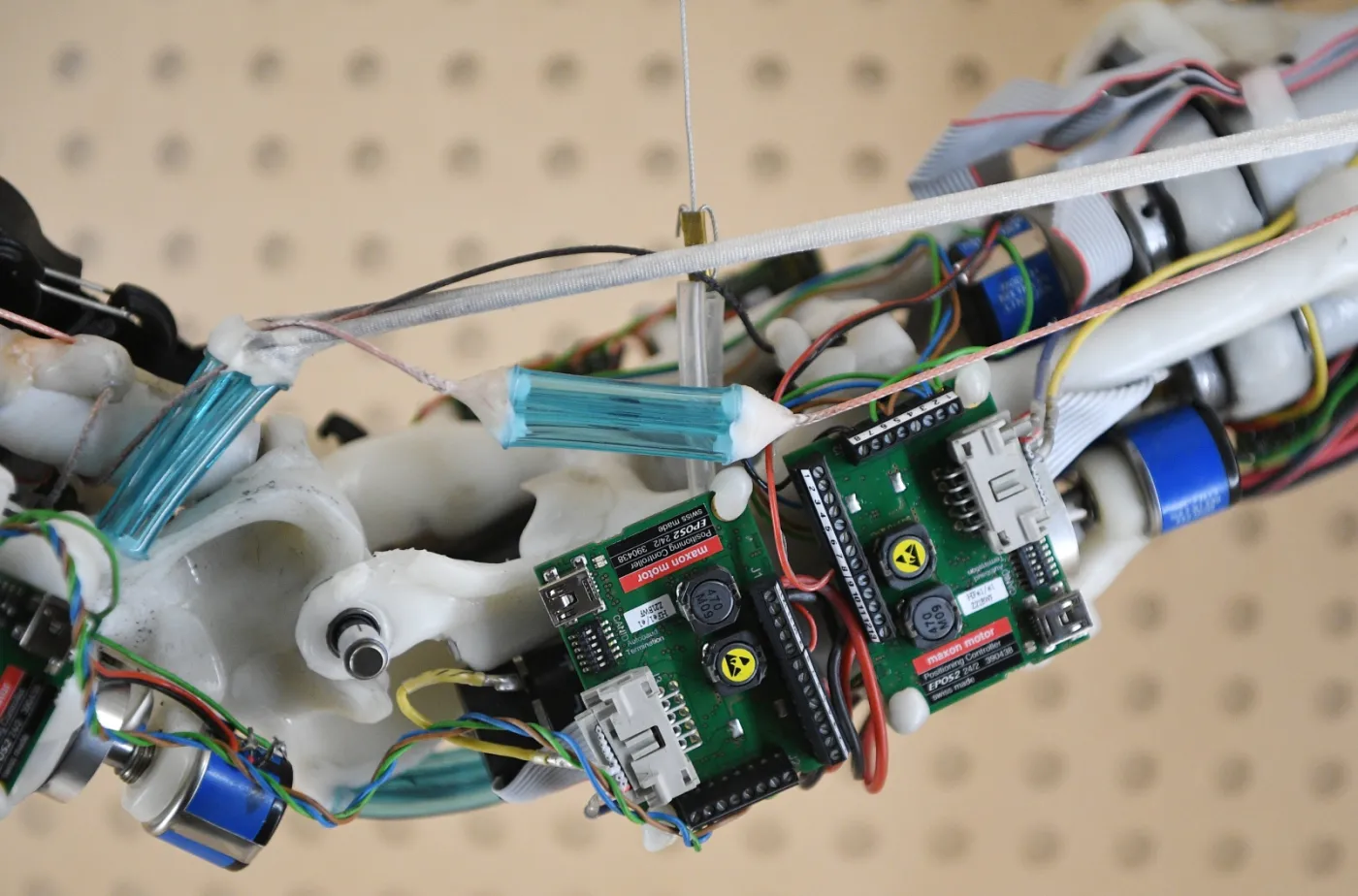 9860932-roboty-przyszlosci.jpg