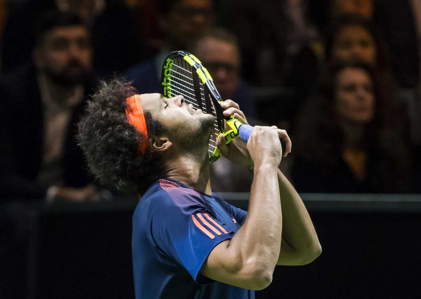 Jo-Wilfried Tsonga 