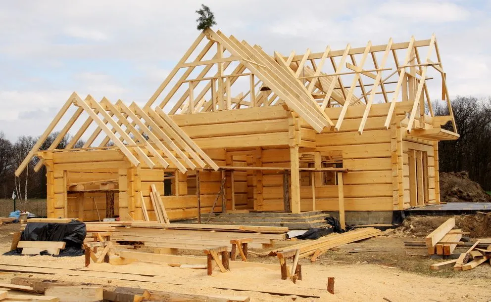 Szkieletowe czy z bali? Jakie domy z drewna budują Polacy