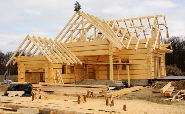 Szkieletowe czy z bali? Jakie domy z drewna budują Polacy