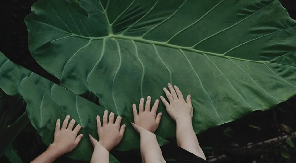 "Wieża. Jasny dzień" Jagody Szelc – metafizyka bez pretensjonalności. Narodziny nowego talentu [RECENZJA]