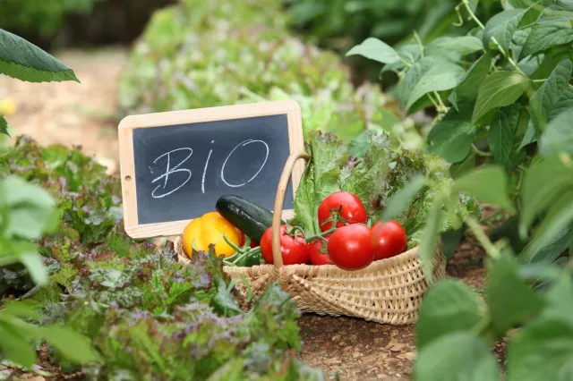 Ekologiczna żywność to samo zdrowie? Biolog obala mity: Wcale nie jest taka dobra dla nas i środowiska