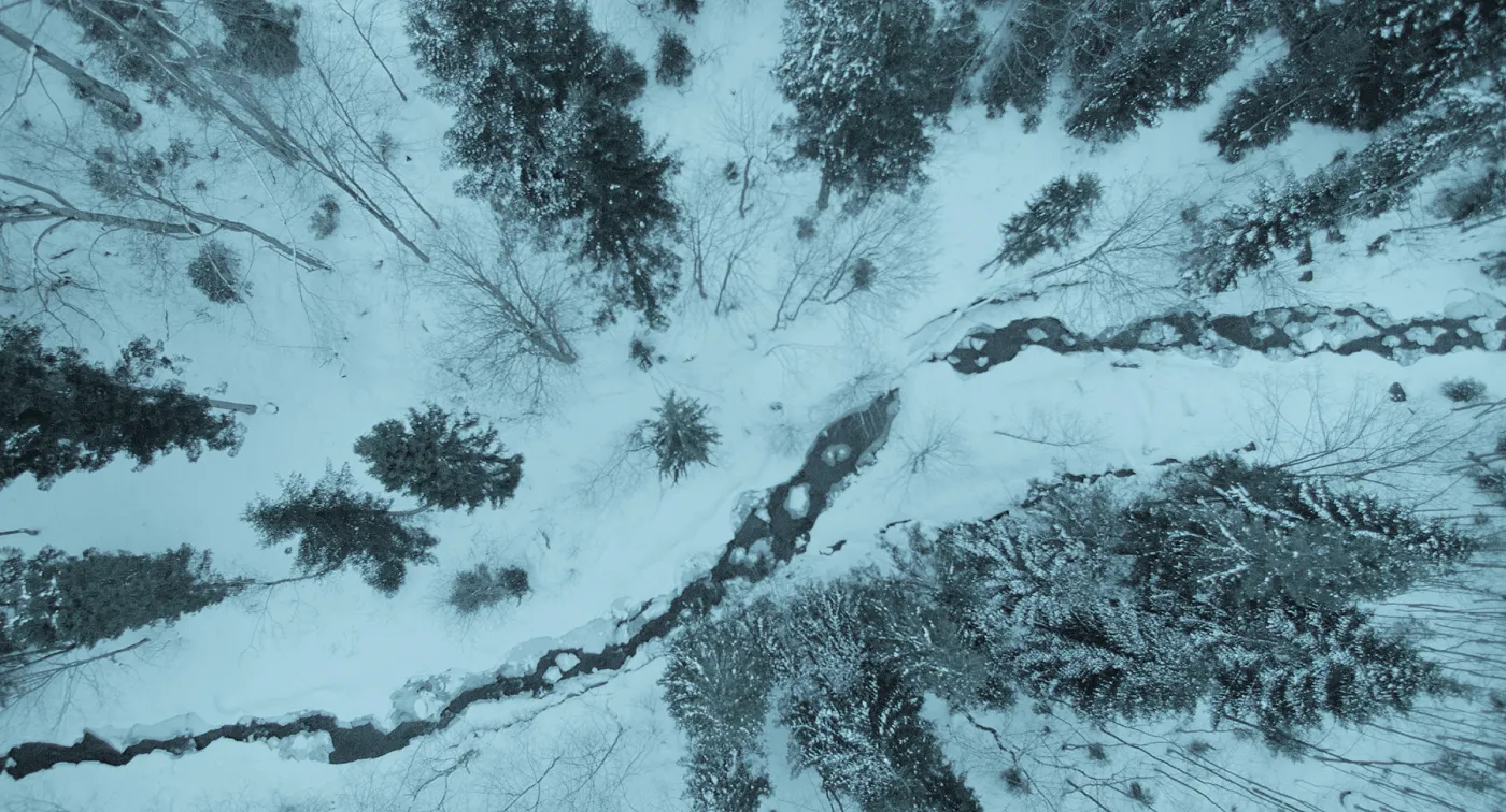 Kadr z filmu "Harda"