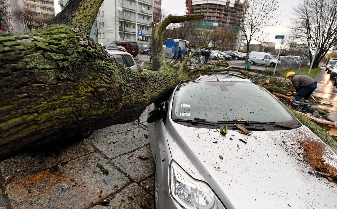 Mocno wieje nad Polską, nawet 110 km/h. Setki połamanych drzew, uszkodzone auta, zerwane dachy... [ZDJĘCIA]