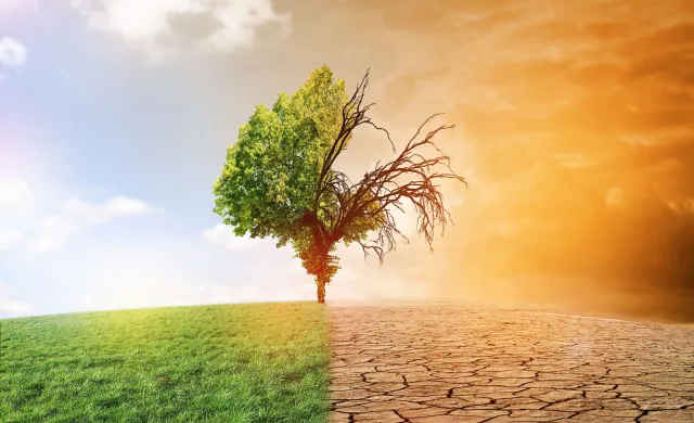 Walkę z globalnym ociepleniem Finowie traktują najpoważniej na świecie