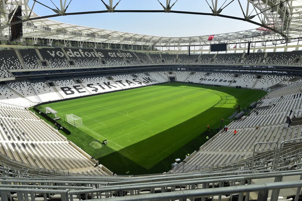 UEFA ukarała Besiktas, bo w trakcie meczu Ligi Mistrzów na boisko wbiegł... kot