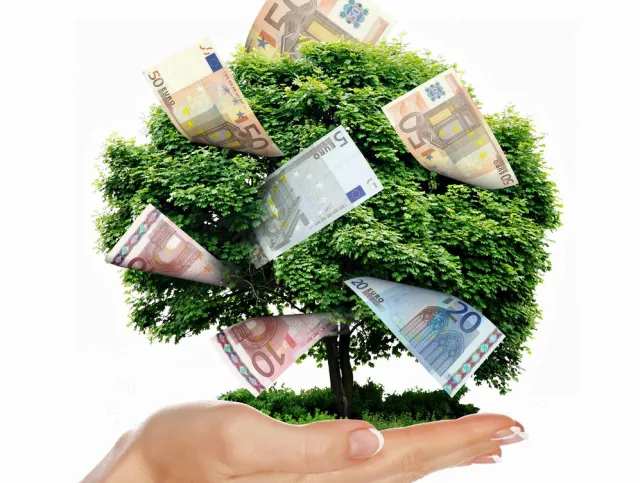 Zielone miasta czy zielony PR? Nie tylko twarde "nie" dla betonu