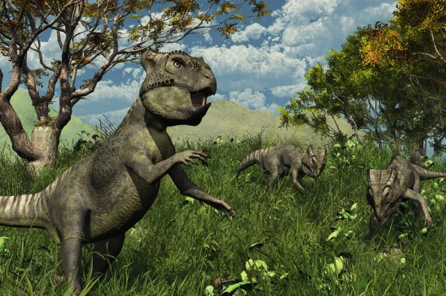 Niezwykłe odkrycie ponad 20 skamieniałych jaj dinozaurów. Cztery z nich mogą zawierać embriony