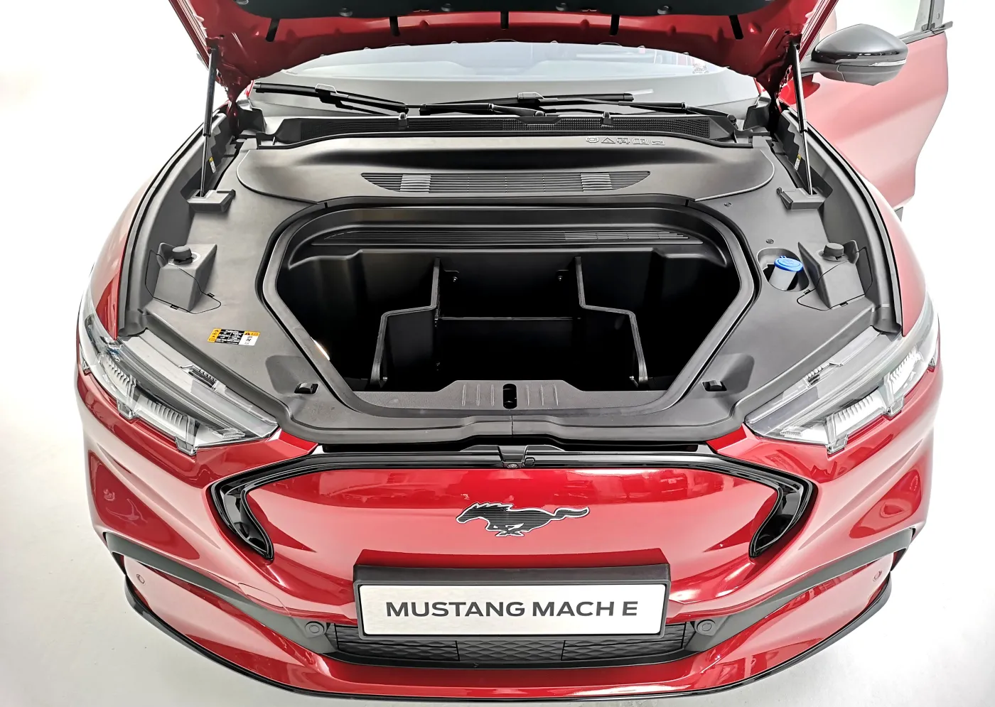 ford-mustang-mache-36167558.jpg