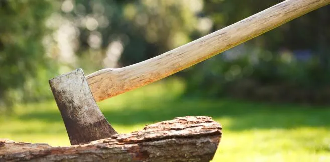 Nie miała klucza, więc rozbiła drzwi teściowej siekierą