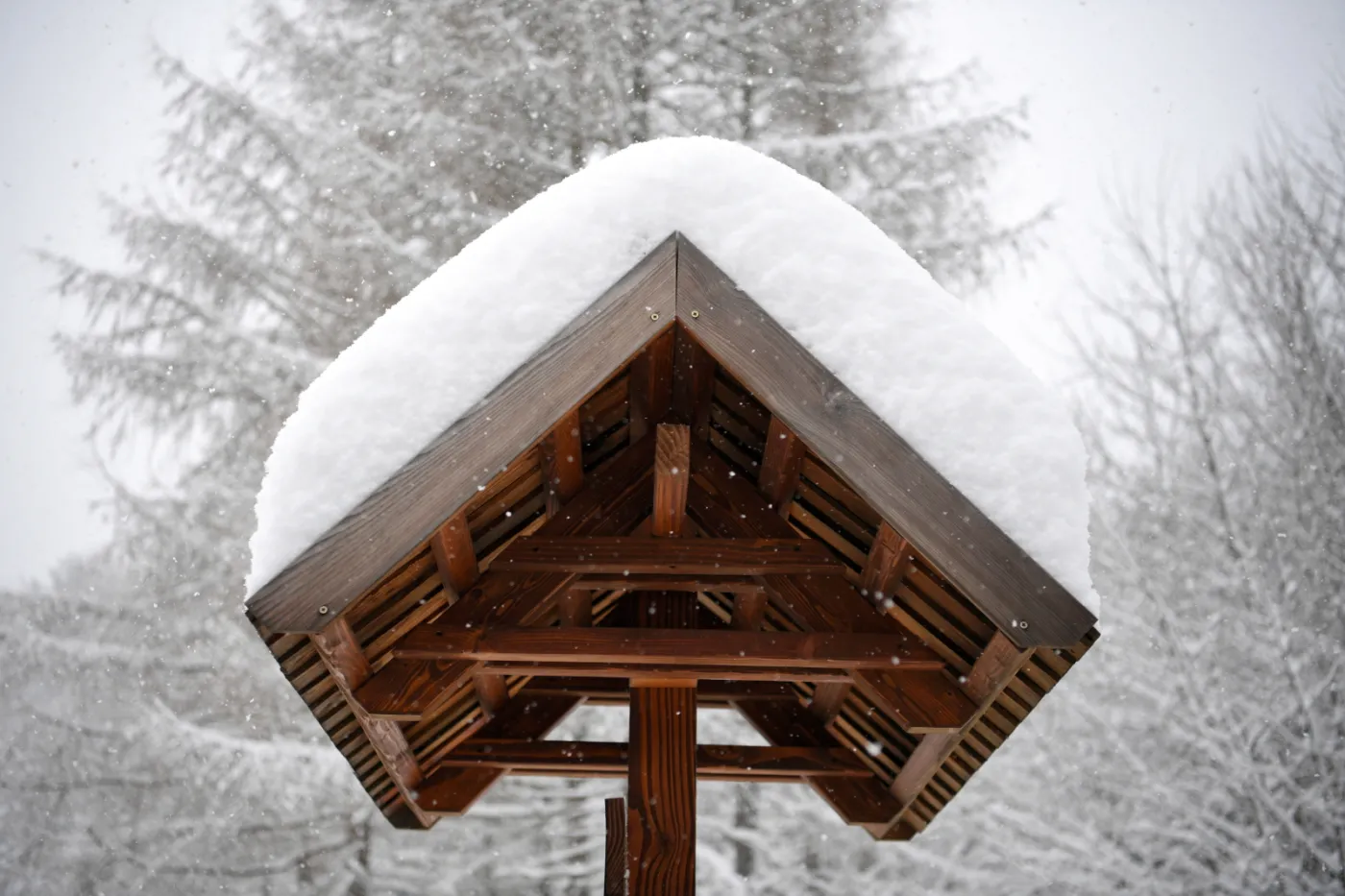 Dziś silny mróz także nie odpuści. Ostrzeżenie IMGW